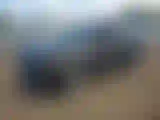 Vehicle Image- 2013 Ford Escape