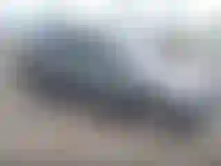 Vehicle Image- 2013 Ford Escape