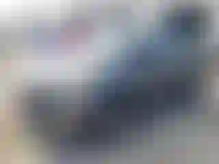 Vehicle Image- 2013 Ford Escape