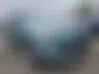 Vehicle Image- 2013 Ford Escape