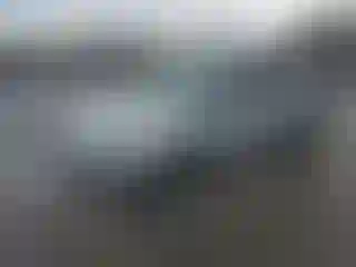 Vehicle Image- 2014 Ford Escape