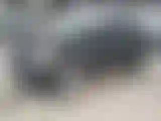 Vehicle Image- 2014 Ford Escape
