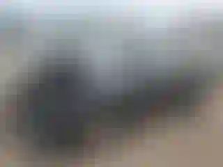 Vehicle Image- 2016 Ford Escape