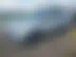 Vehicle Image- 2014 Ford Escape