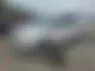 Vehicle Image- 2017 Ford Escape