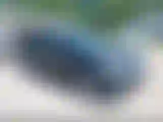 Vehicle Image- 2017 Ford Escape