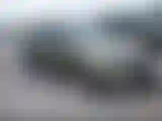 Vehicle Image- 2013 Ford Escape