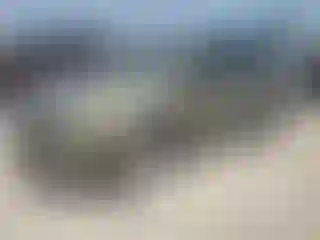 Vehicle Image- 2014 Ford Escape