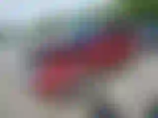 Vehicle Image- 2017 Ford Escape