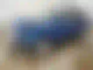 Vehicle Image- 2019 Ford Escape