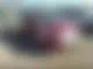 Vehicle Image- 2019 Ford Escape