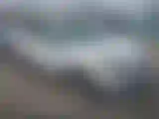 Vehicle Image- 2014 Ford Escape