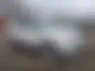 Vehicle Image- 2013 Ford Escape