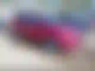 Vehicle Image- 2017 Ford Escape