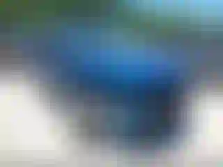 Vehicle Image- 2019 Ford Escape