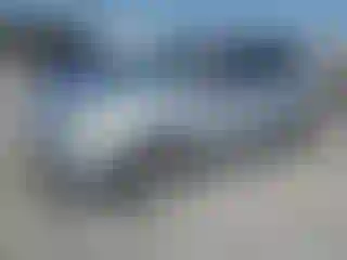 Vehicle Image- 2013 Ford Escape