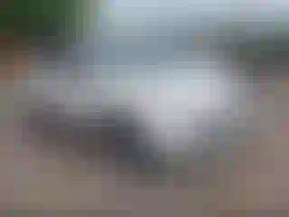 Vehicle Image- 2014 Ford Escape