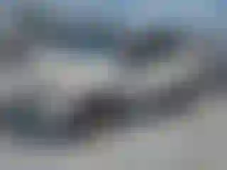 Vehicle Image- 2013 Ford Escape