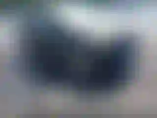 Vehicle Image- 2014 Ford Escape