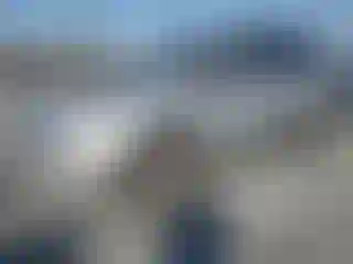 Vehicle Image- 2017 Ford Escape