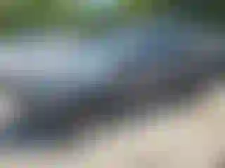 Vehicle Image- 2017 Ford Escape