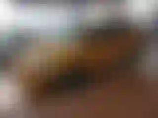 Vehicle Image- 2016 Ford Escape