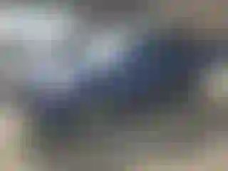 Vehicle Image- 2014 Ford Escape