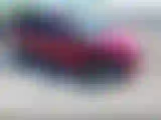 Vehicle Image- 2016 Ford Escape