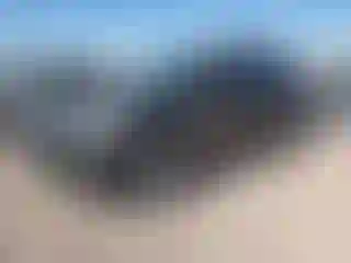 Vehicle Image- 2014 Ford Escape
