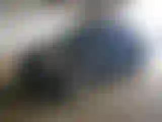 Vehicle Image- 2016 Ford Escape
