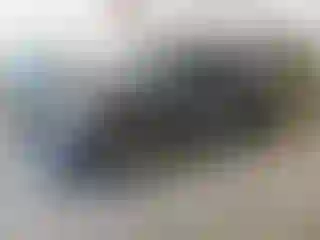 Vehicle Image- 2024 Ford Escape