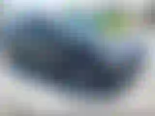 Vehicle Image- 2025 Ford Escape