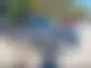 Vehicle Image- 2023 Ford Escape