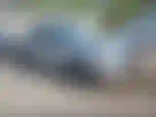 Vehicle Image- 2024 Ford Escape