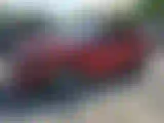 Vehicle Image- 2024 Ford Escape