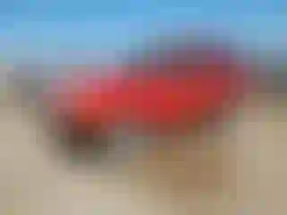 Vehicle Image- 1991 Ford Explorer
