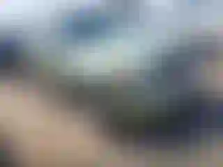 Vehicle Image- 2009 Ford Escape