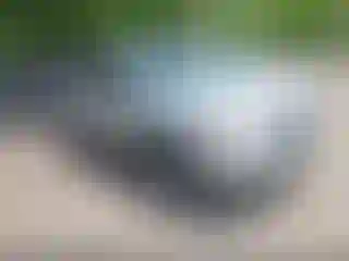 Vehicle Image- 2009 Ford Escape