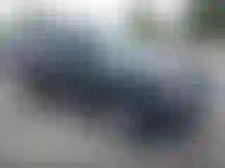 Vehicle Image- 2009 Ford Escape