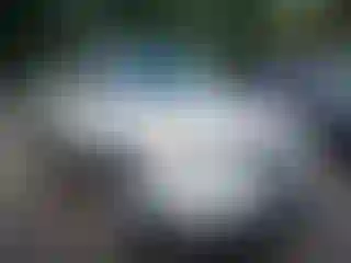 Vehicle Image- 2009 Ford Escape