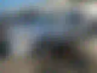 Vehicle Image- 2009 Ford Escape