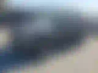 Vehicle Image- 2009 Ford Escape