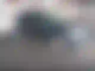 Vehicle Image- 2009 Ford Escape