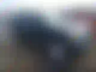 Vehicle Image- 2007 Ford Escape