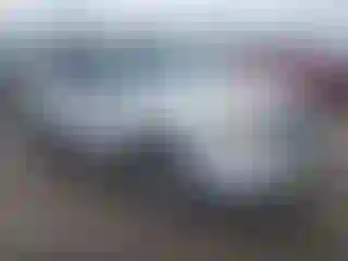 Vehicle Image- 2008 Ford Escape