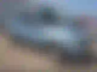 Vehicle Image- 2008 Ford Escape