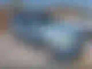 Vehicle Image- 2008 Ford Escape