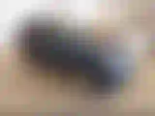 Vehicle Image- 2008 Ford Escape