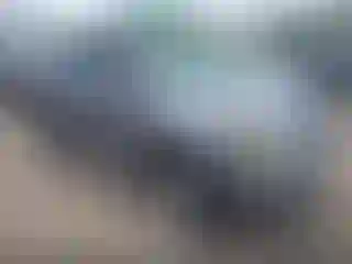 Vehicle Image- 2008 Ford Escape