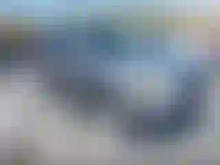 Vehicle Image- 2008 Ford Escape